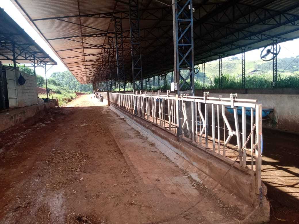 Fazenda à venda com 3 quartos, 1550000m² - Foto 22