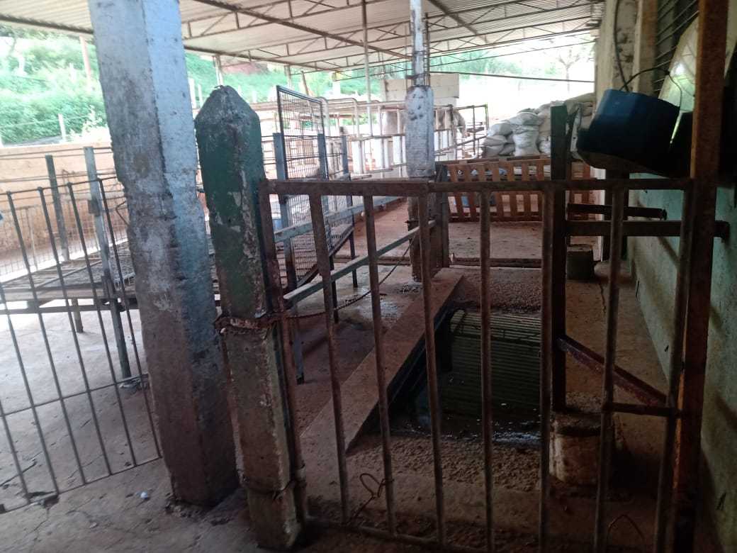 Fazenda à venda com 3 quartos, 1550000m² - Foto 17