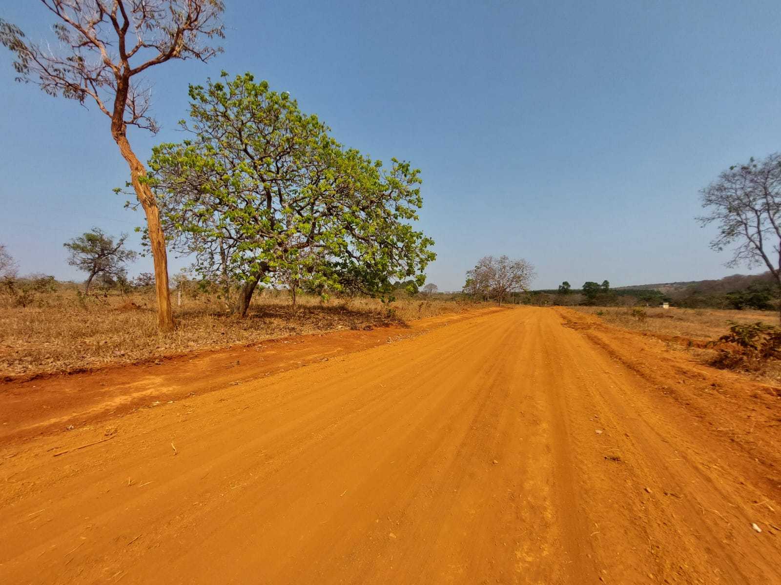 Terreno à venda com 1 quarto, 20000m² - Foto 4