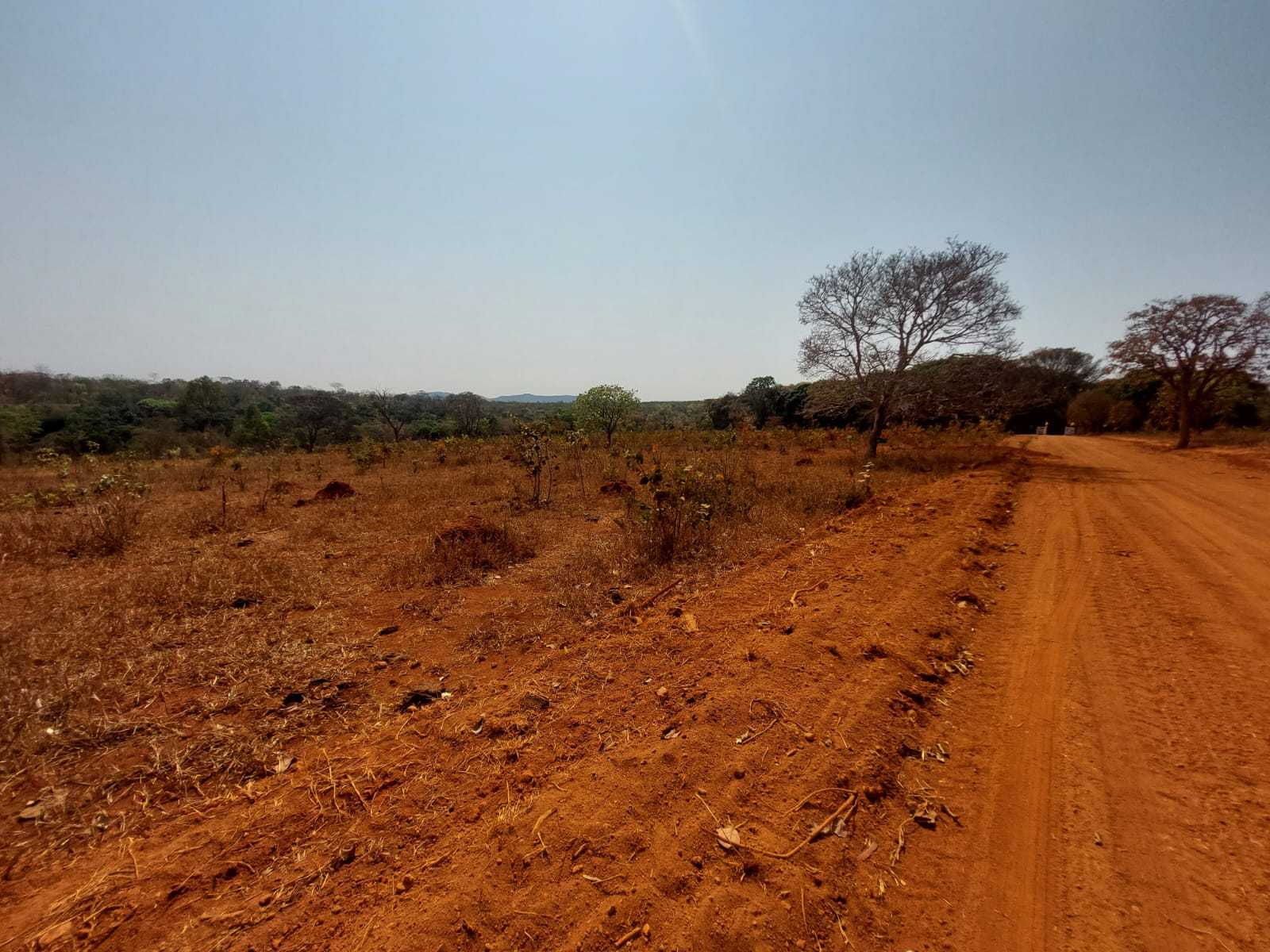 Terreno à venda com 1 quarto, 20000m² - Foto 5