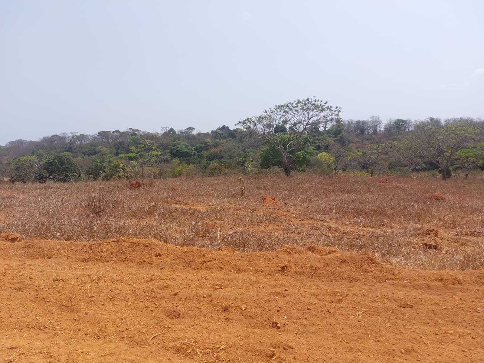 Terreno à venda com 1 quarto, 20000m² - Foto 1