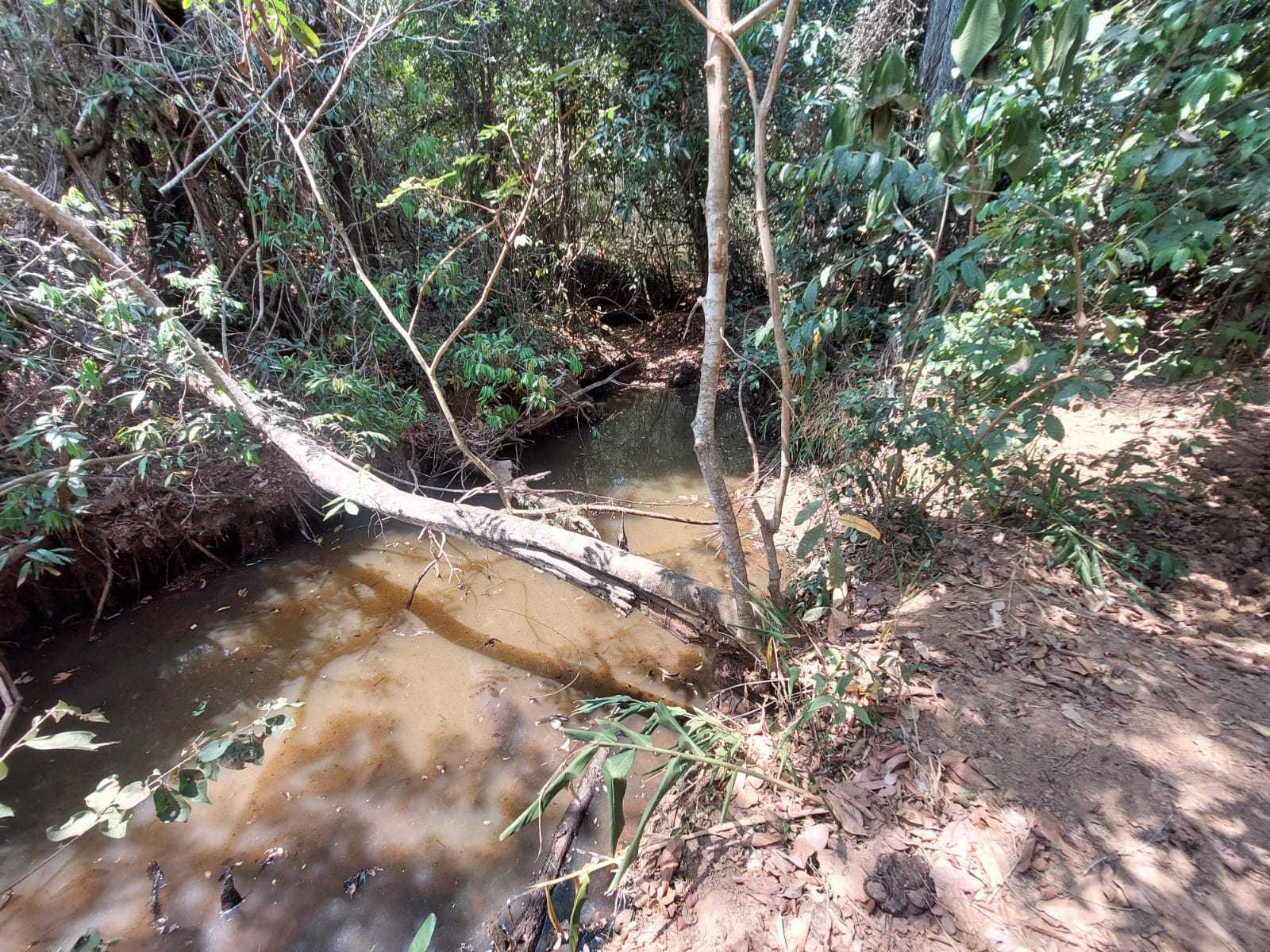 Terreno à venda com 1 quarto, 20000m² - Foto 10