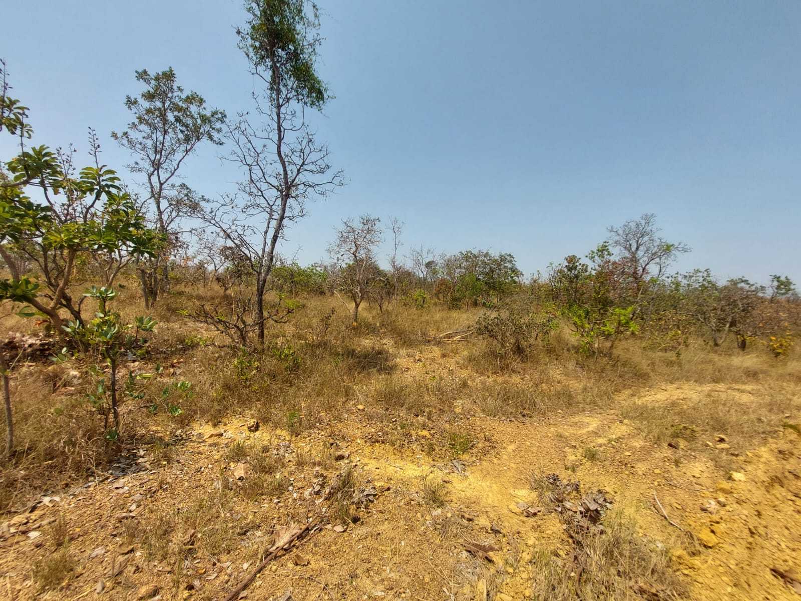 Terreno à venda com 1 quarto, 20000m² - Foto 11