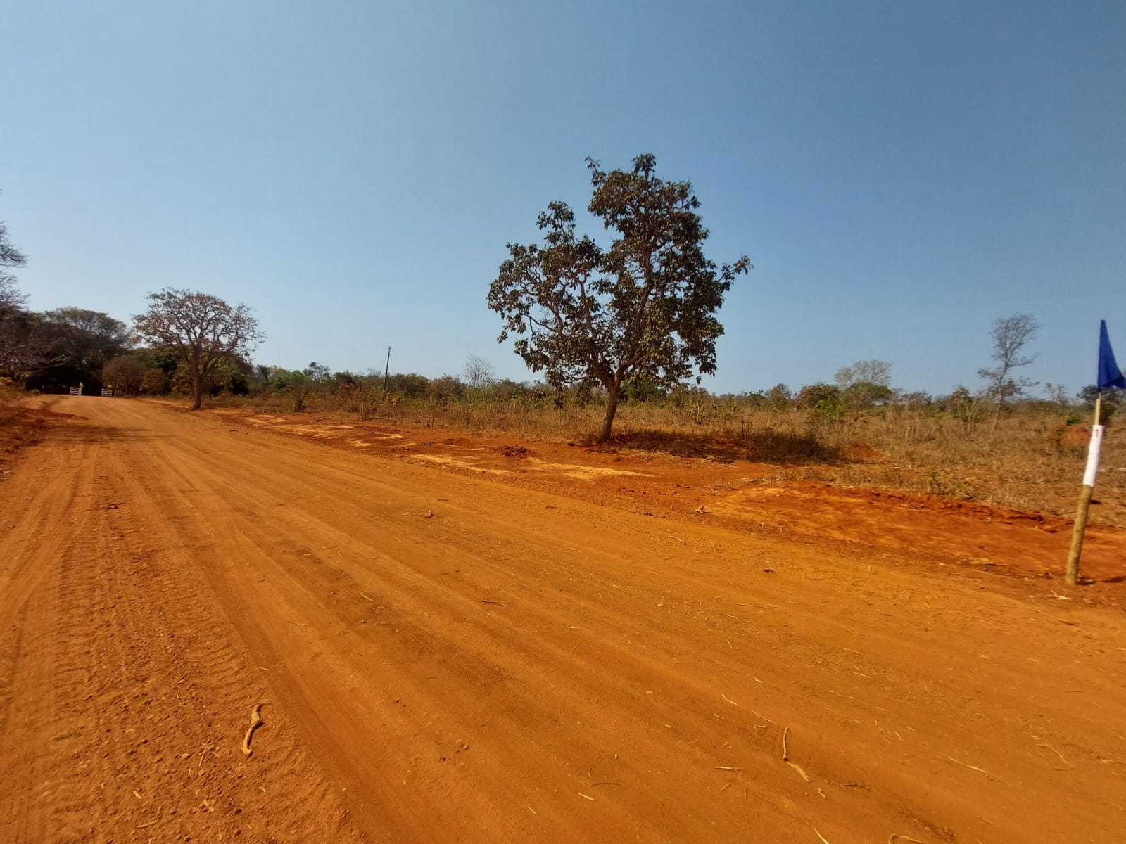 Terreno à venda com 1 quarto, 20000m² - Foto 3