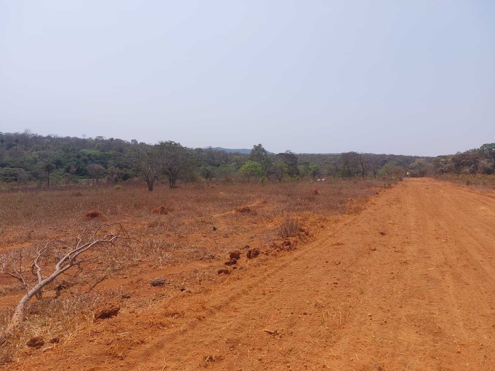 Terreno à venda com 1 quarto, 20000m² - Foto 6