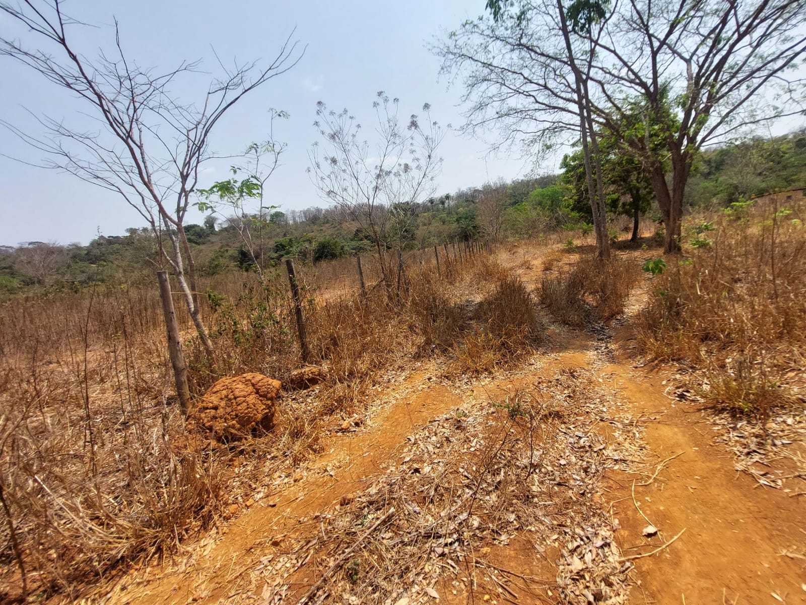 Terreno à venda com 1 quarto, 20000m² - Foto 8