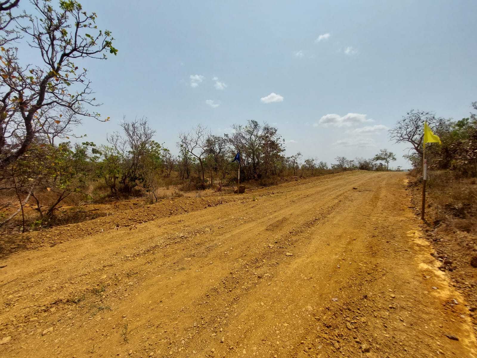 Terreno à venda com 1 quarto, 20000m² - Foto 12
