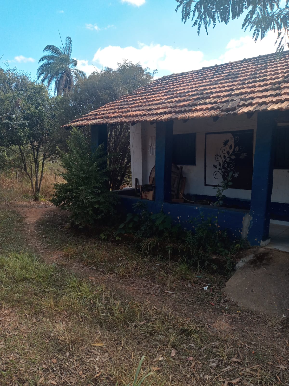 Fazenda à venda com 3 quartos, 4000m² - Foto 14