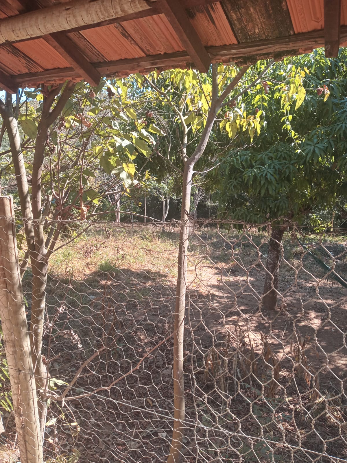 Fazenda à venda com 3 quartos, 4000m² - Foto 15