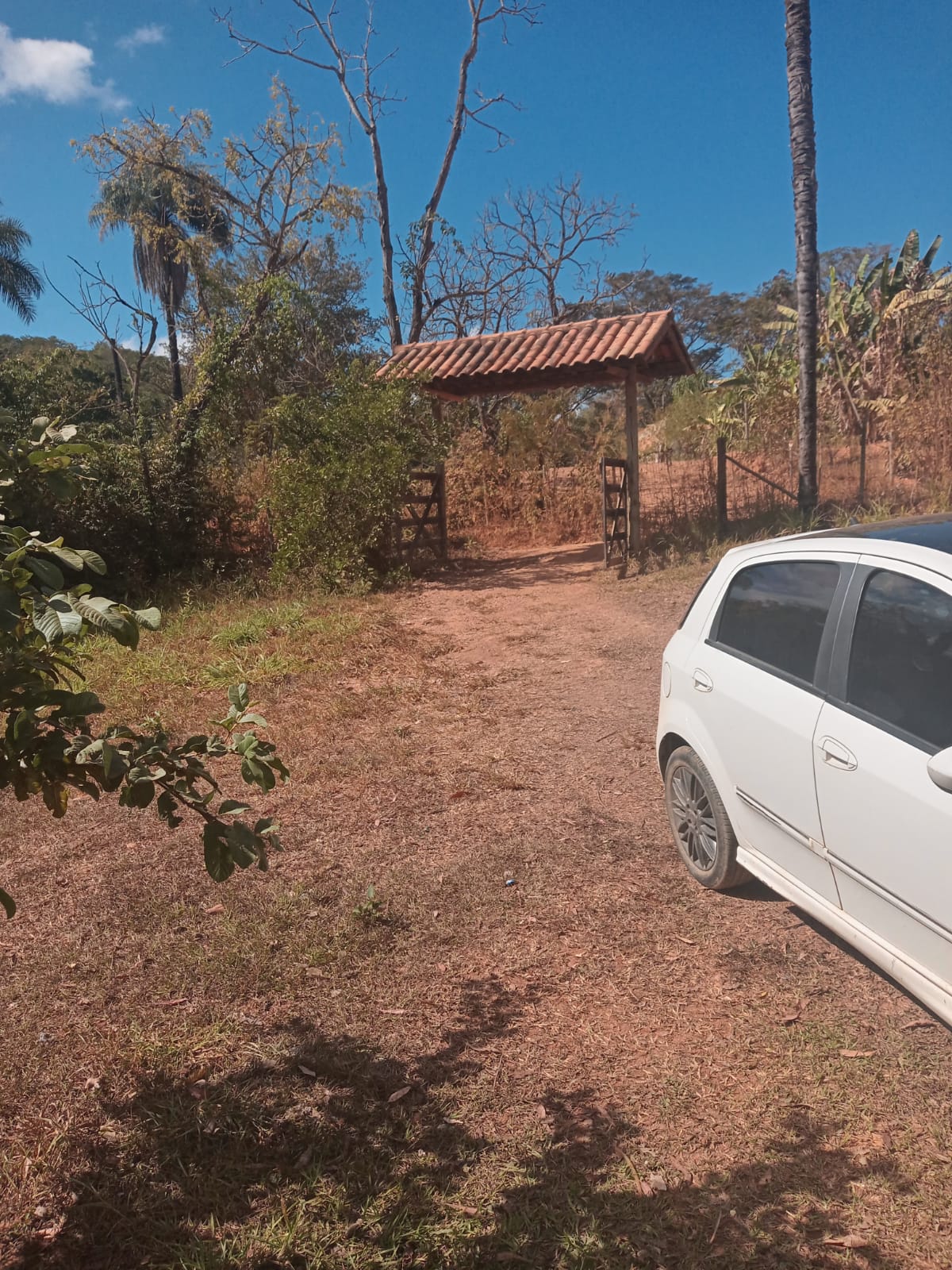 Fazenda à venda com 3 quartos, 4000m² - Foto 4