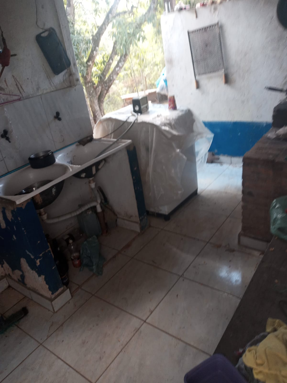 Fazenda à venda com 3 quartos, 4000m² - Foto 22
