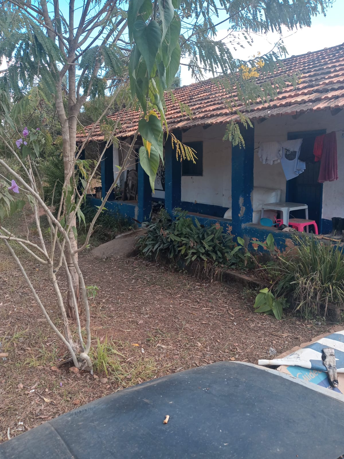 Fazenda à venda com 3 quartos, 4000m² - Foto 17