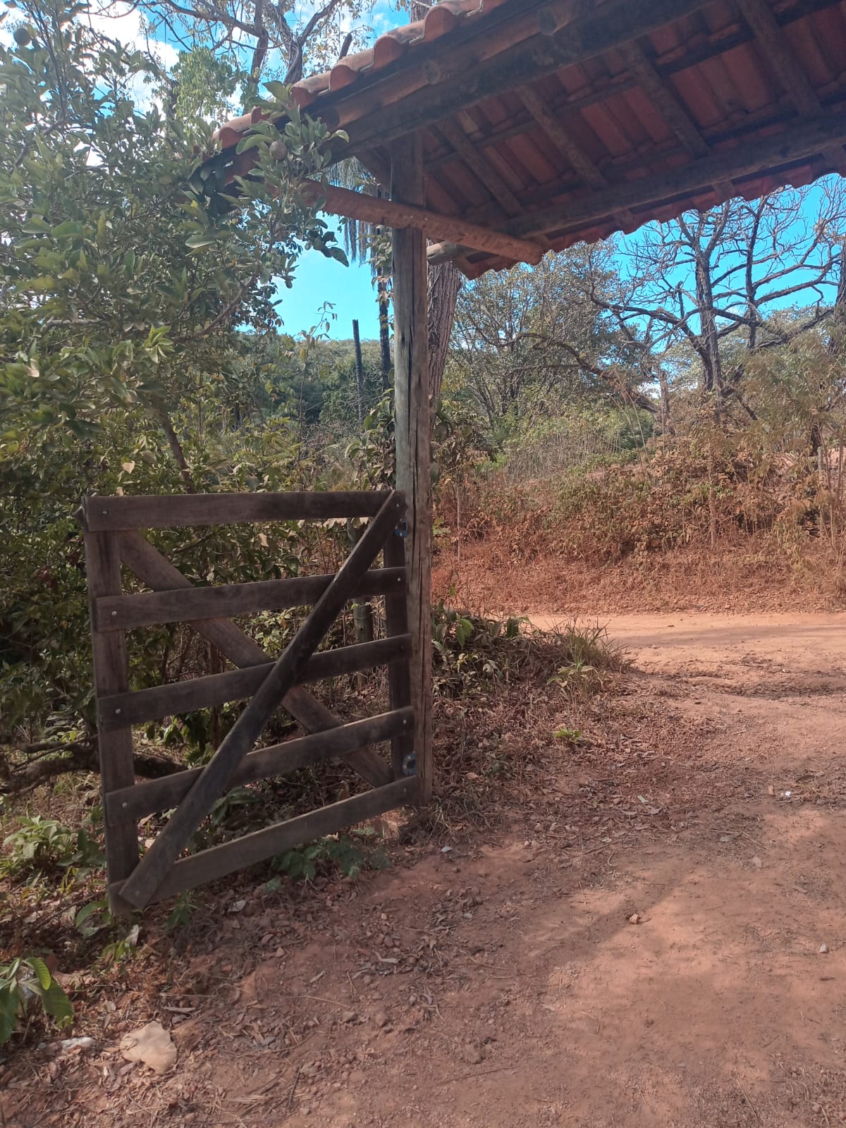 Fazenda à venda com 3 quartos, 4000m² - Foto 3