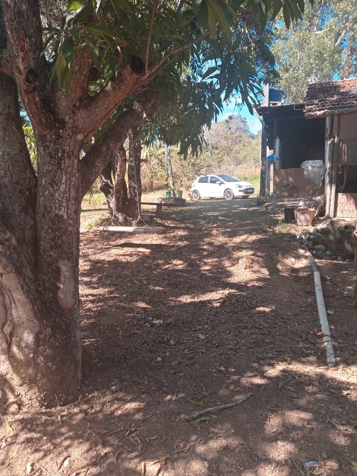 Fazenda à venda com 3 quartos, 4000m² - Foto 13