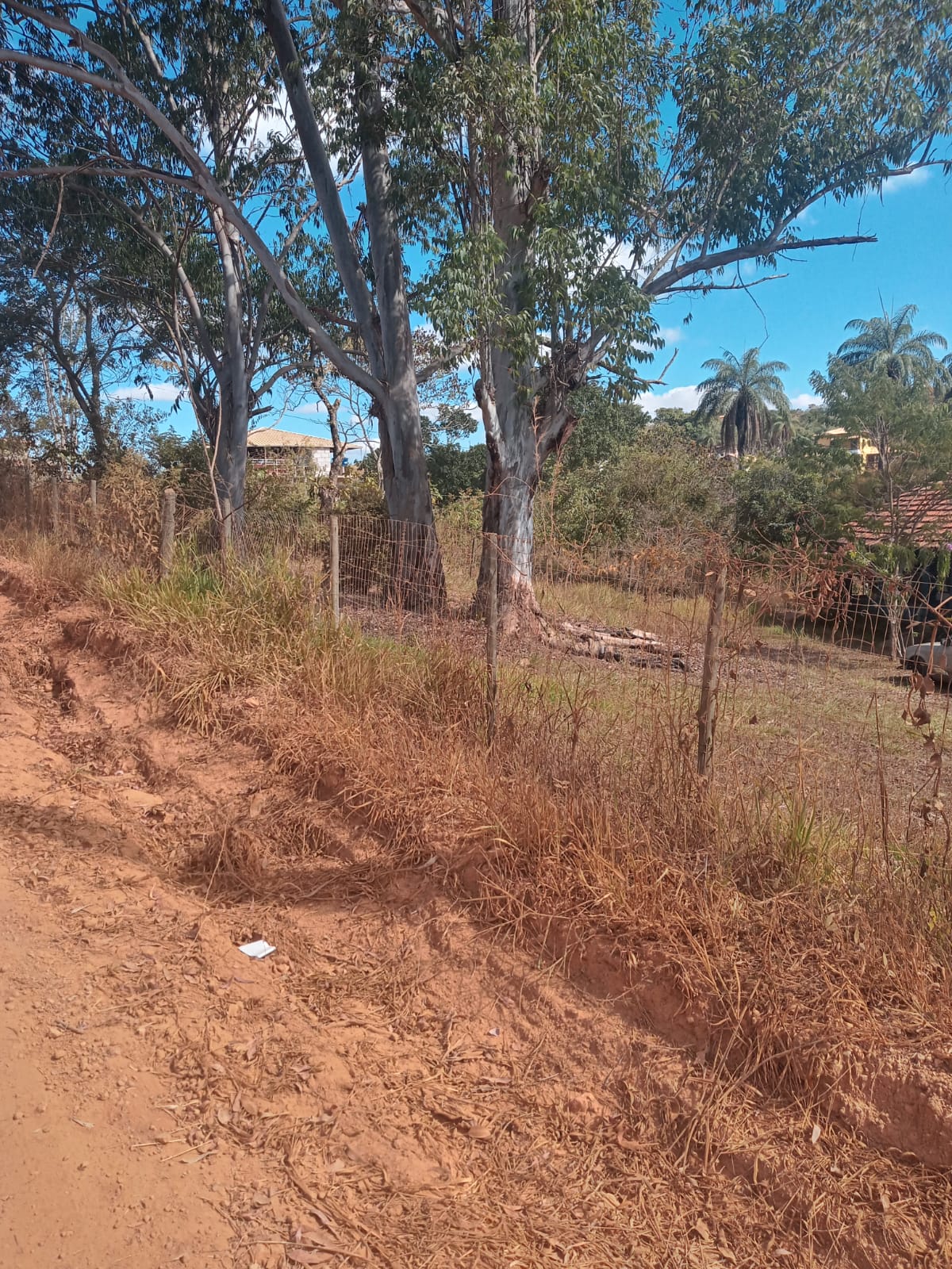 Fazenda à venda com 3 quartos, 4000m² - Foto 25