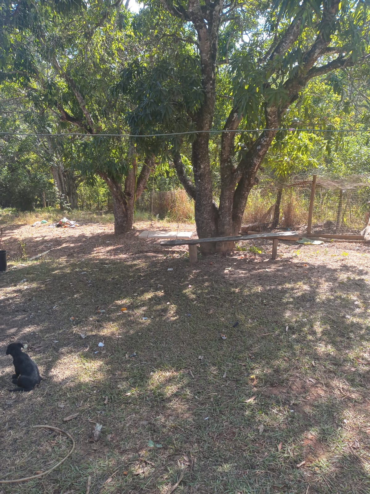 Fazenda à venda com 3 quartos, 4000m² - Foto 24