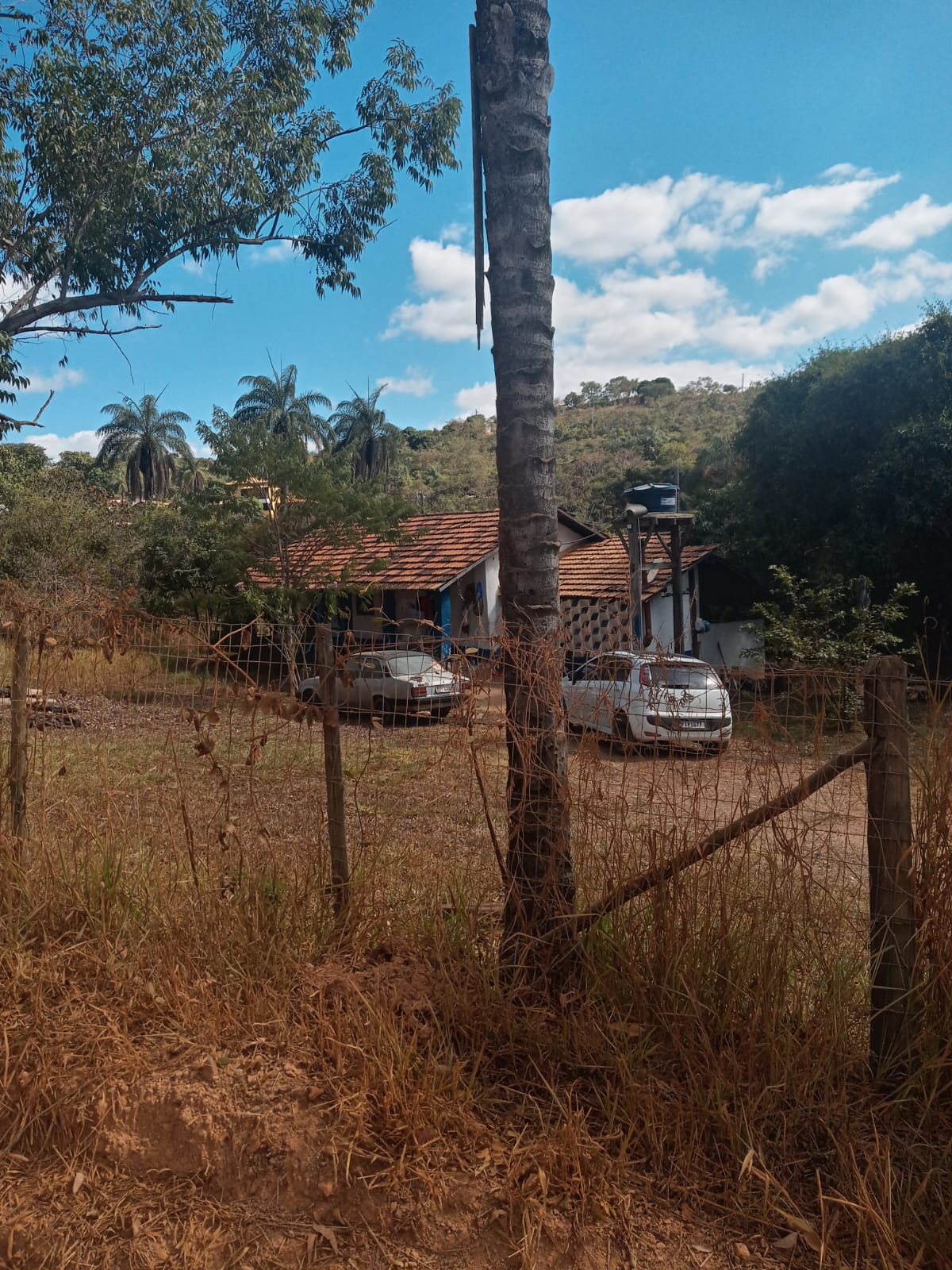 Fazenda à venda com 3 quartos, 4000m² - Foto 6