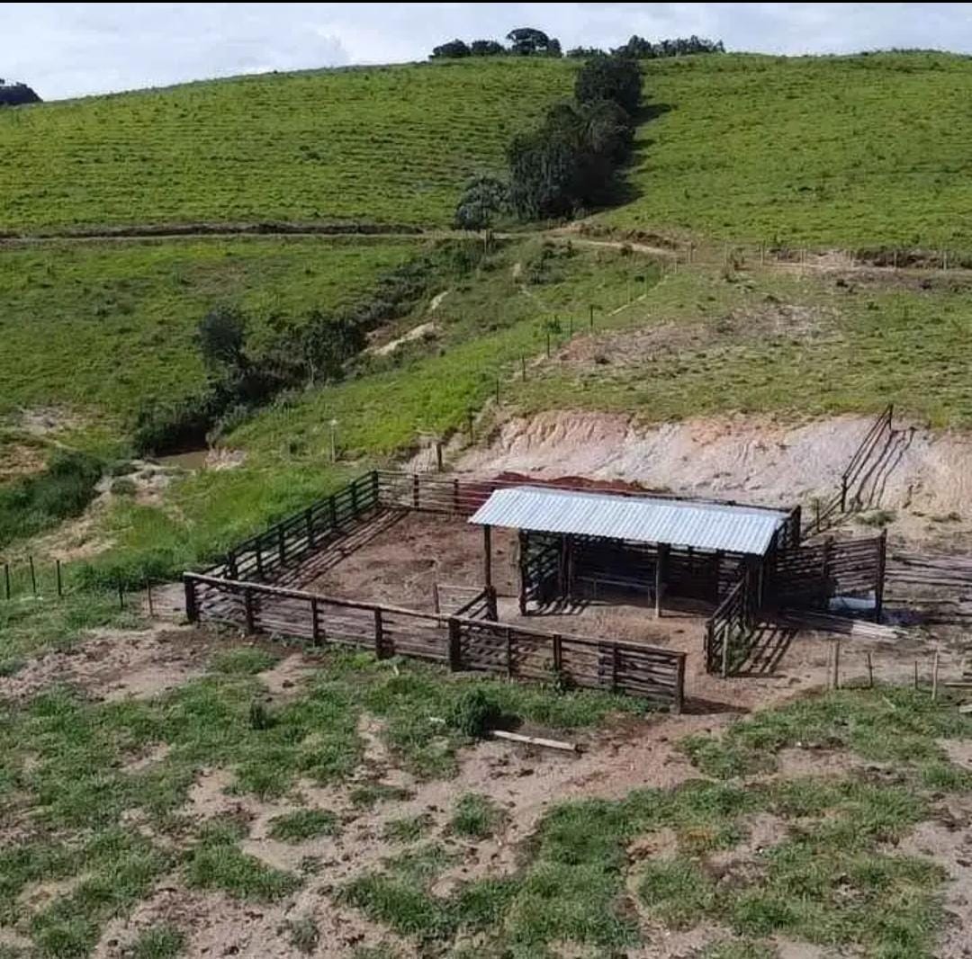 Fazenda à venda com 3 quartos - Foto 5