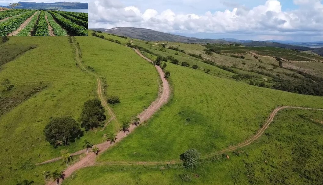 Fazenda à venda com 3 quartos - Foto 12