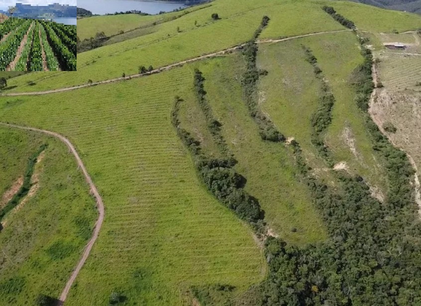 Fazenda à venda com 3 quartos - Foto 7