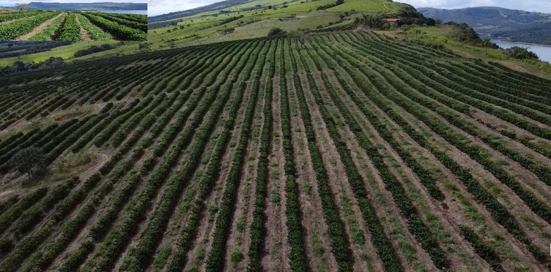Fazenda à venda com 3 quartos - Foto 6