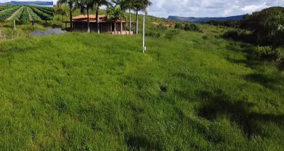Fazenda à venda com 3 quartos - Foto 8