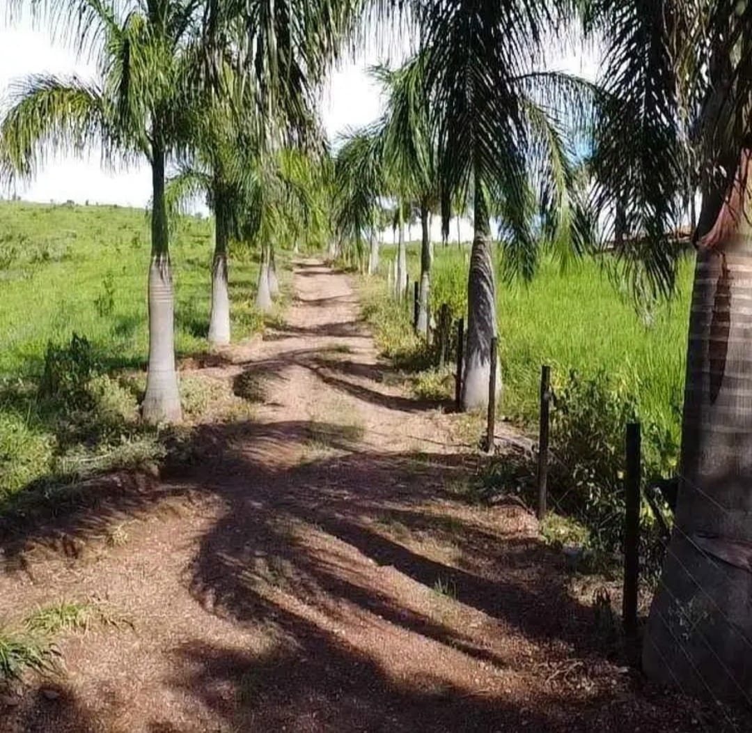 Fazenda à venda com 3 quartos - Foto 3