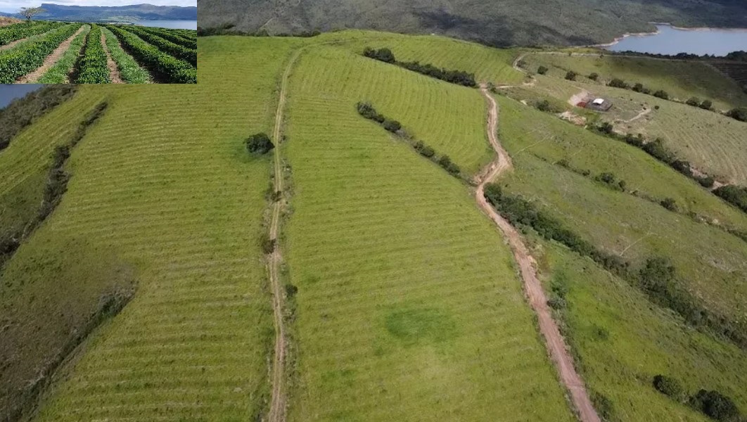 Fazenda à venda com 3 quartos - Foto 13