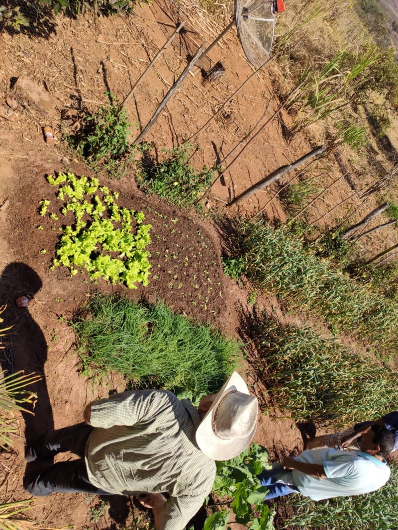 Fazenda à venda com 1 quarto, 116m² - Foto 9