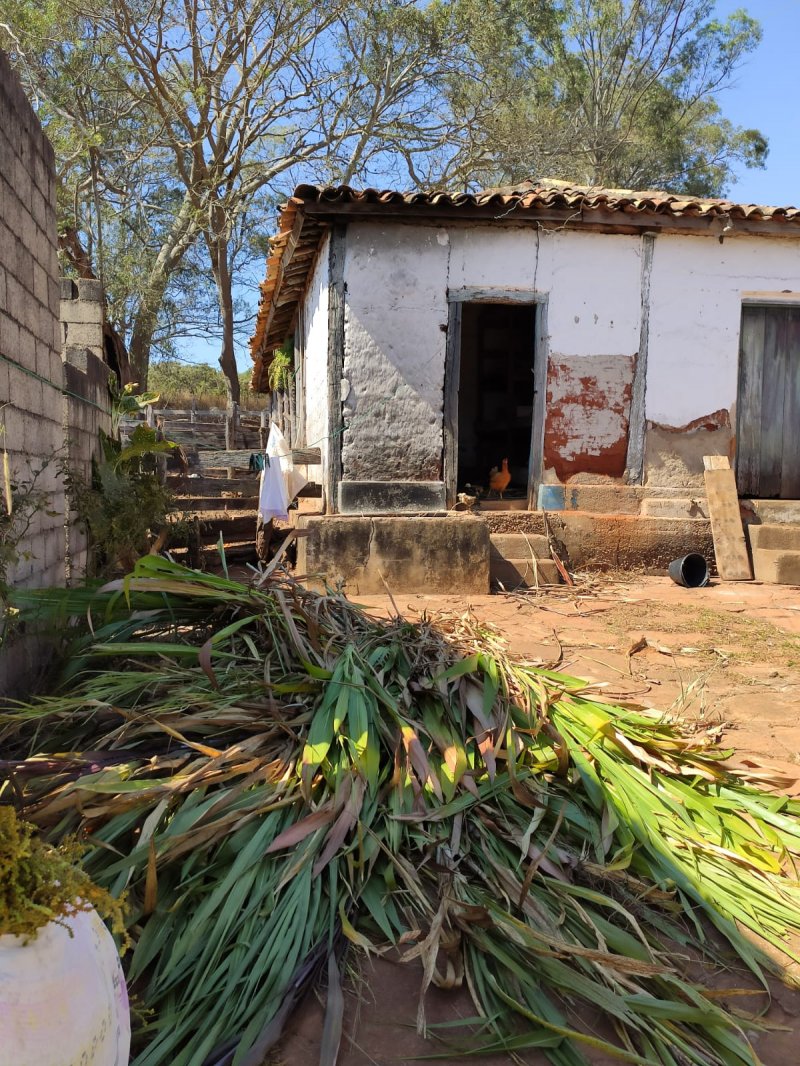 Fazenda à venda com 1 quarto, 116m² - Foto 4