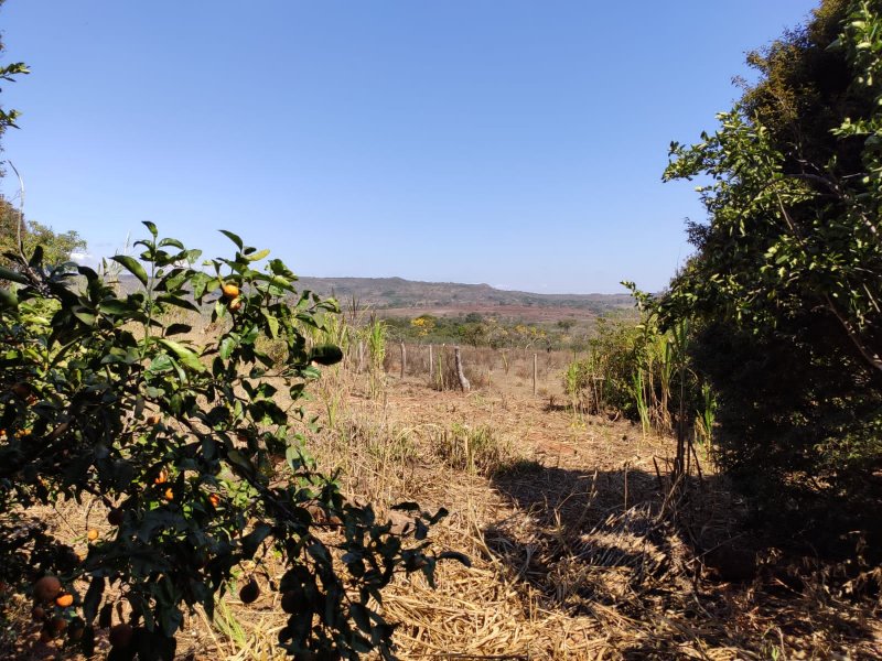 Fazenda à venda com 1 quarto, 116m² - Foto 13