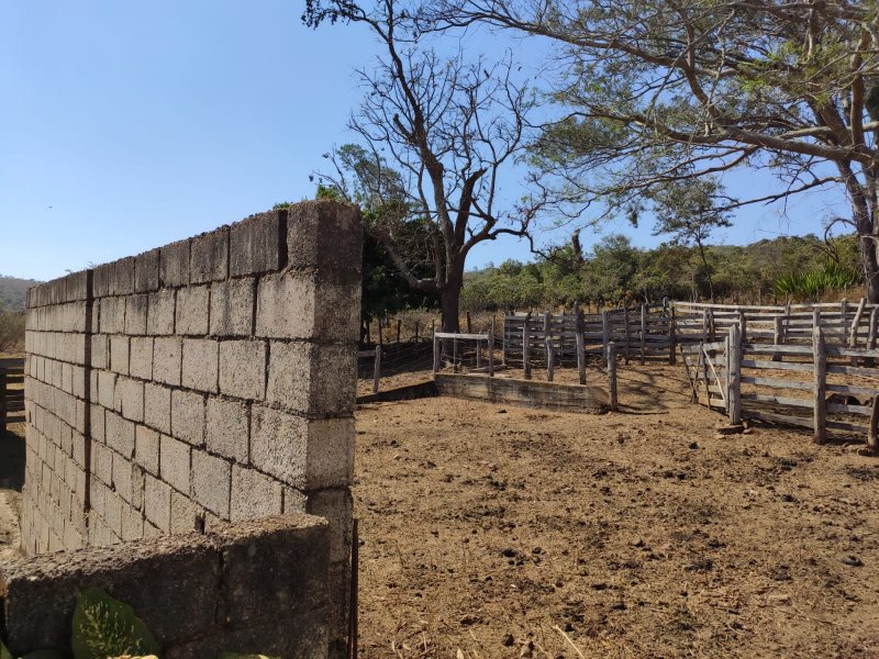 Fazenda à venda com 1 quarto, 116m² - Foto 14