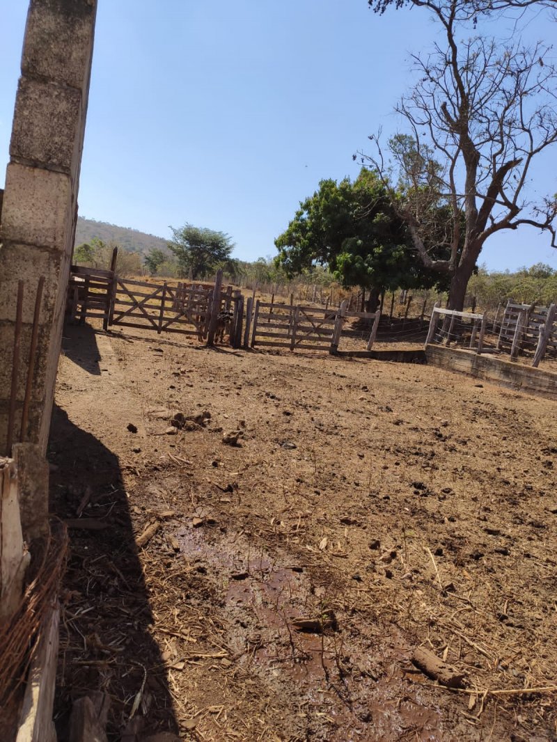 Fazenda à venda com 1 quarto, 116m² - Foto 11