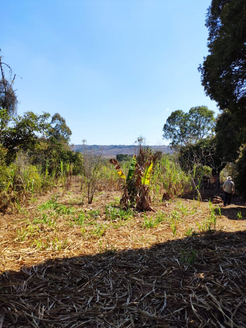 Fazenda à venda com 1 quarto, 116m² - Foto 2
