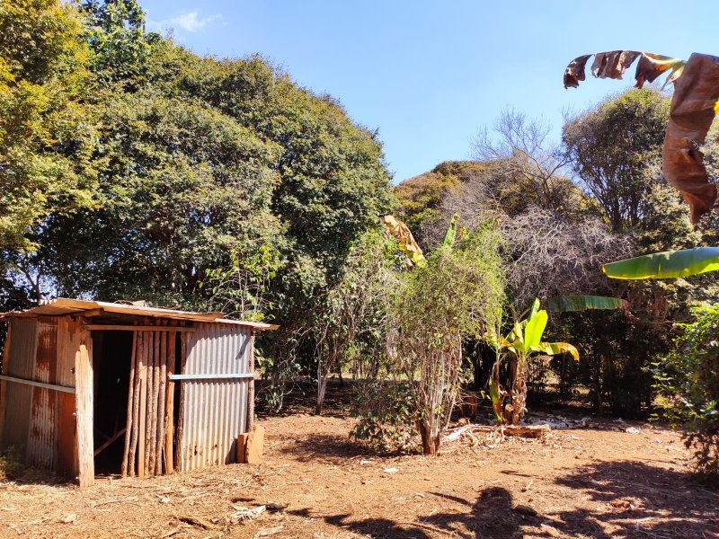 Fazenda à venda com 1 quarto, 116m² - Foto 5
