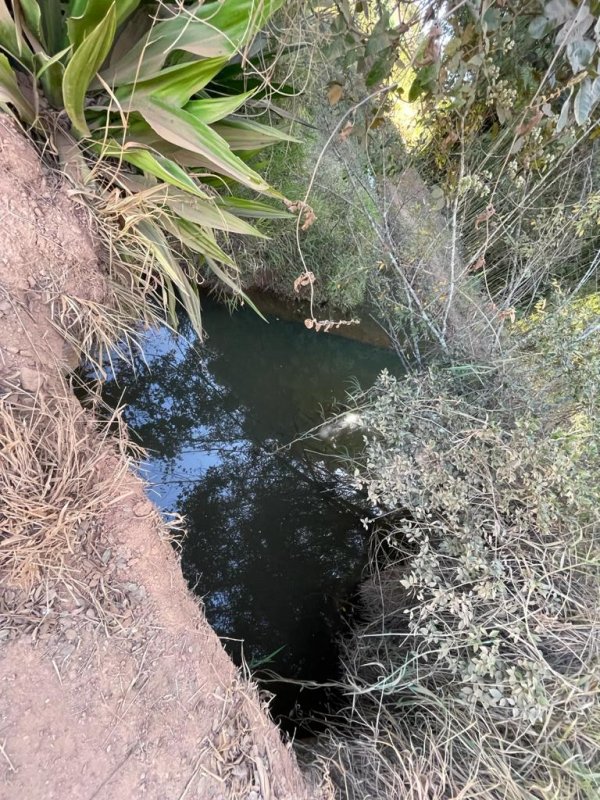 Chácara à venda com 2 quartos, 2500m² - Foto 23