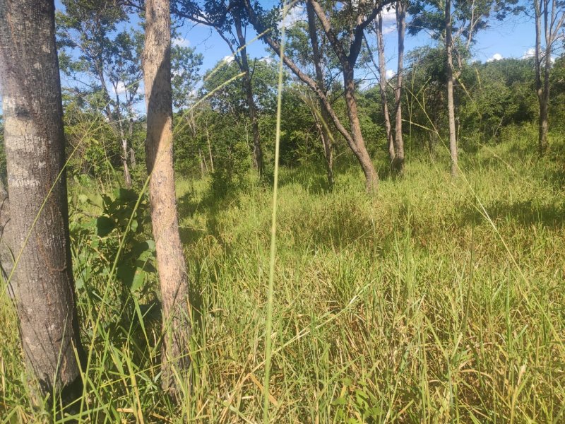 Fazenda à venda com 1 quarto, 800000m² - Foto 13