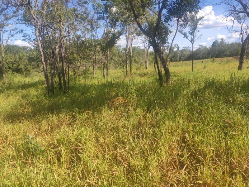 Fazenda à venda com 1 quarto, 800000m² - Foto 15
