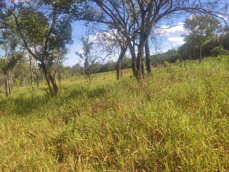 Fazenda à venda com 1 quarto, 800000m² - Foto 14