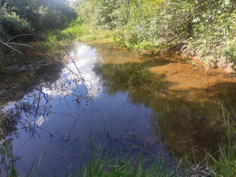 Fazenda à venda com 1 quarto, 800000m² - Foto 17
