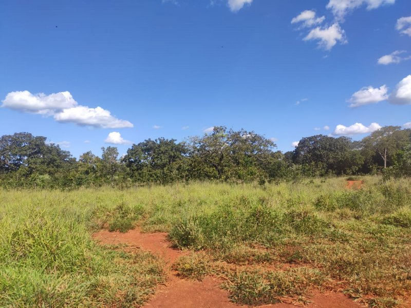Fazenda à venda com 1 quarto, 800000m² - Foto 22
