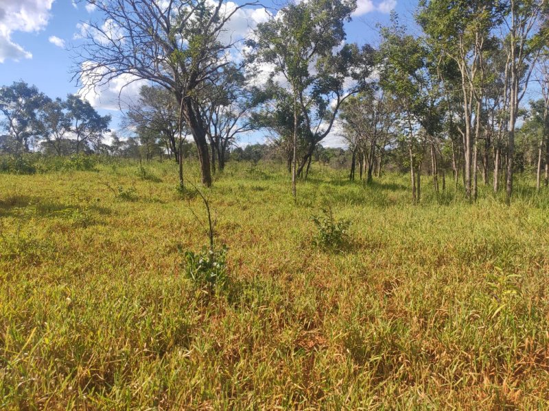Fazenda à venda com 1 quarto, 800000m² - Foto 20