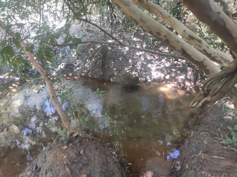 Fazenda à venda com 1 quarto, 800000m² - Foto 18