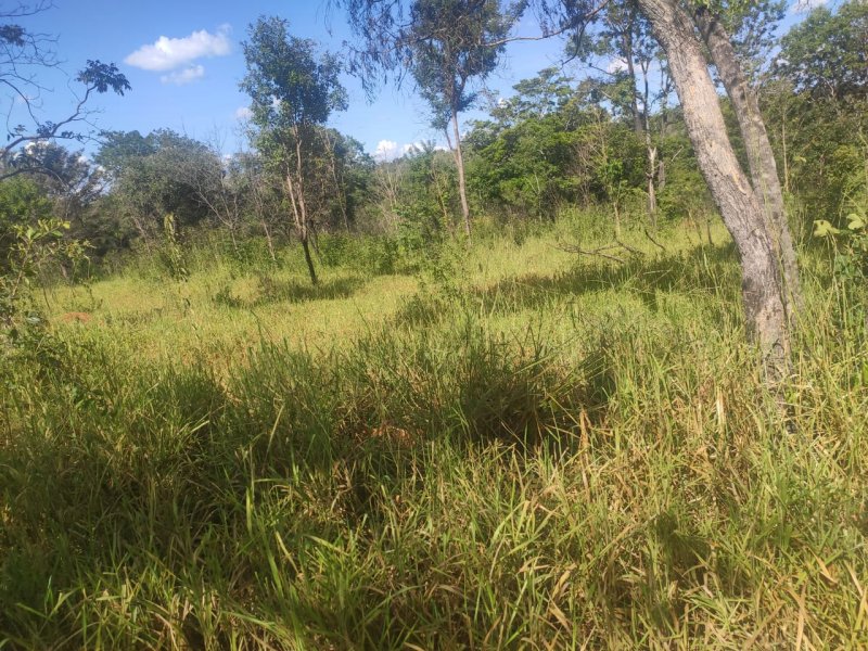Fazenda à venda com 1 quarto, 800000m² - Foto 10