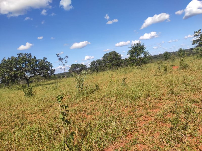Fazenda à venda com 1 quarto, 800000m² - Foto 7