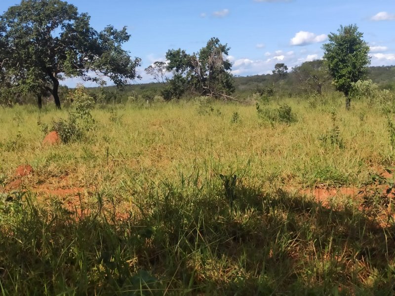 Fazenda à venda com 1 quarto, 800000m² - Foto 11