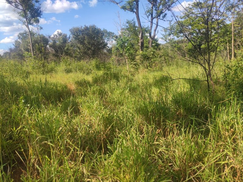Fazenda à venda com 1 quarto, 800000m² - Foto 9