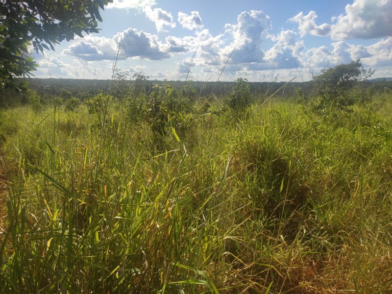 Fazenda à venda com 1 quarto, 800000m² - Foto 6