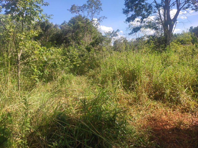 Fazenda à venda com 1 quarto, 800000m² - Foto 19