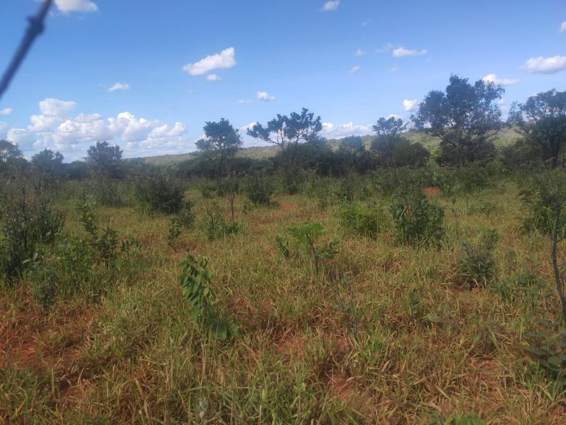 Fazenda à venda com 1 quarto, 800000m² - Foto 4